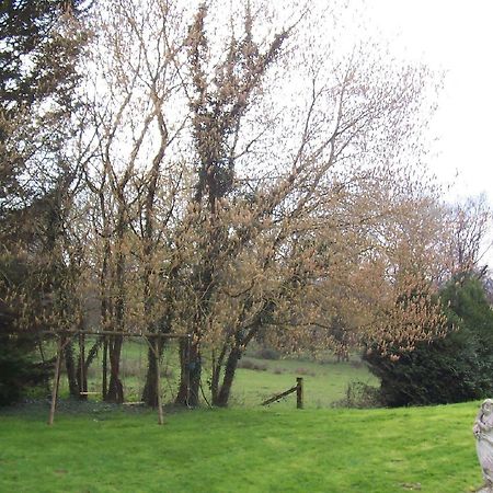 Chateau Champigny Bed & Breakfast Maillet  Eksteriør bilde