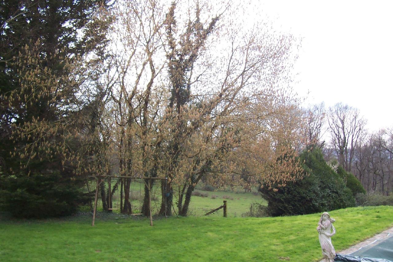 Chateau Champigny Bed & Breakfast Maillet  Eksteriør bilde